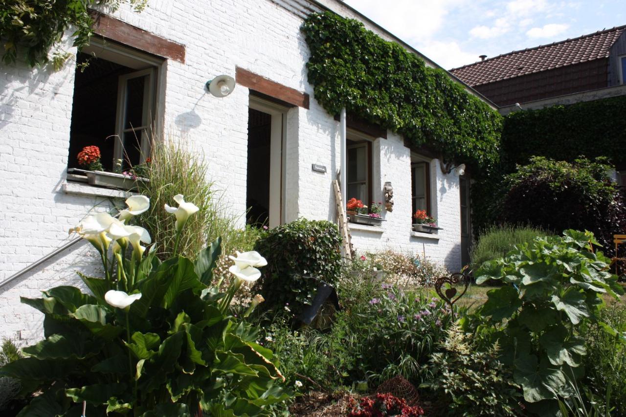 L'Atterrissage Bed & Breakfast Santes Exterior photo